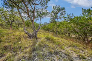 707 Deer Lake Rd, Wimberley, TX 78676 - Photo 32