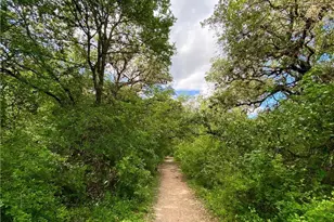 900 S 1st St, Austin, TX 78704 - Photo 32