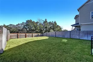 424 Red Buckeye Loop, Liberty Hill, TX 78642 - Photo 24