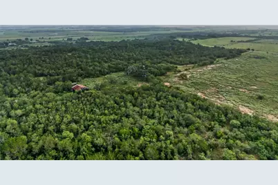 9611 Wilke Road, Kingsbury, TX 78638 - Photo 18