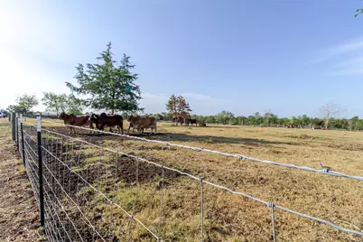 2015 Tx-21, Paige, TX 78659 - Photo 6