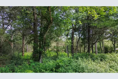 Tbd Phillips Street Phillips Street W, Lexington, TX 78947 - Photo 14