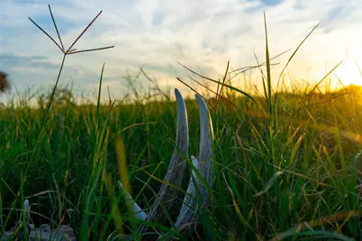 Tbd Tx-123, Seguin, TX 78155 - Photo 10