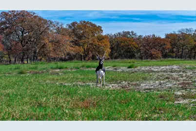 Tbd Tx-123, Seguin, TX 78155 - Photo 4