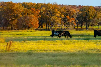 Tbd Tx-123, Seguin, TX 78155 - Photo 1