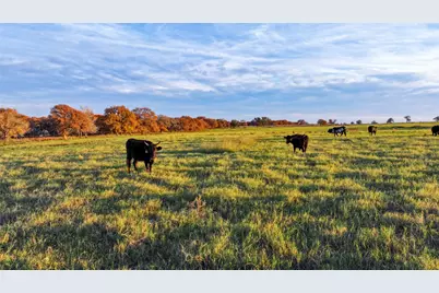 Tbd Tx-123, Seguin, TX 78155 - Photo 2