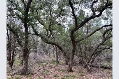 Tbd Narrows Road, Blanco, TX 78606 - Photo 6