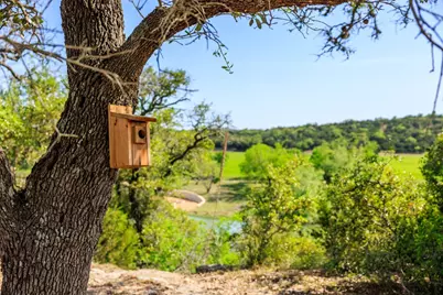 Lot 2 Byrd Ranch Road, Johnson City, TX 78636 - Photo 30