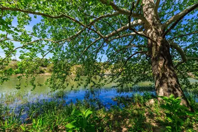 Lot 2 Byrd Ranch Road, Johnson City, TX 78636 - Photo 10