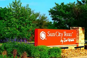 117 Beautybush Trail, Georgetown, TX 78633 - Photo 26