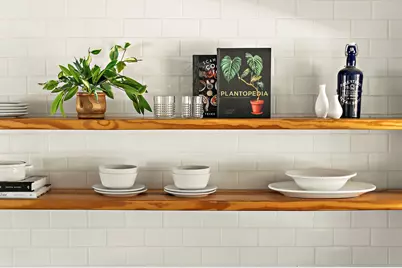 1211 Alexander Avenue, Austin, TX 78702 - Photo 14