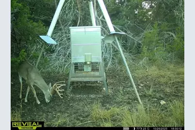 3026 Pursley Road, Dripping Springs, TX 78620 - Photo 38