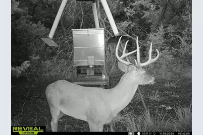 3026 Pursley Road, Dripping Springs, TX 78620 - Photo 40