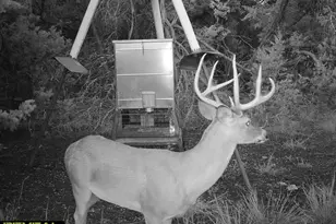 3026 Pursley Rd, Dripping Springs, TX 78620 - Photo 40