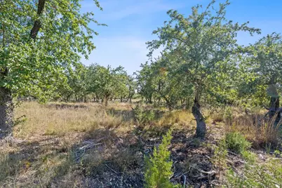 3981 & 3983 E Highway 290, Dripping Springs, TX 78620 - Photo 12