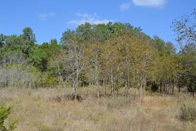 8409 Appaloosa Run, Austin, TX 78737 - Photo 38