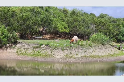 110 Longhorn Lane, Dripping Springs, TX 78620 - Photo 28