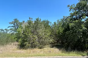 206 Wind Ridge Cove, Georgetown, TX 78628 - Photo 18