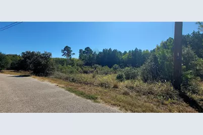 Tbd Alele Drive, Bastrop, TX 78602 - Photo 4