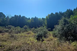 Tbd Alele Dr, Bastrop, TX 78602 - Photo 1