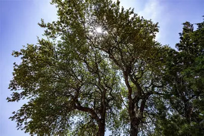 7224 Quiet Brook Place, Lago Vista, TX 78645 - Photo 16