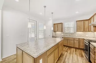 113 Winterhorse Cv, Georgetown, TX 78633 - Photo 14