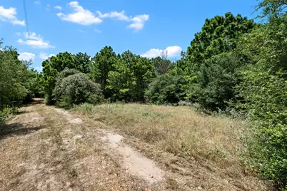 186 Hook Em Horns Drive, Paige, TX 78659 - Photo 14