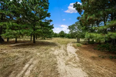 186 Hook Em Horns Drive, Paige, TX 78659 - Photo 16