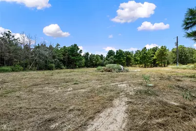 186 Hook Em Horns Drive, Paige, TX 78659 - Photo 32