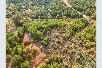 Tbd Winfield Thicket Road, Smithville, TX 78602 - Photo 16