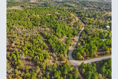 Tbd Winfield Thicket Road, Smithville, TX 78602 - Photo 8