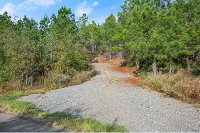 Tbd Winfield Thicket Road, Smithville, TX 78602 - Photo 4