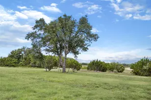 221 Longmount Cv, Liberty Hill, TX 78642 - Photo 40