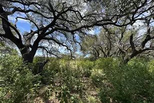 Lot 64 Rycen Dr, Bertram, TX 78605 - Photo 8