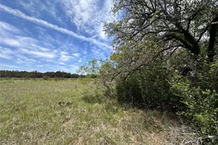 Lot 64 Rycen Dr, Bertram, TX 78605 - Photo 6