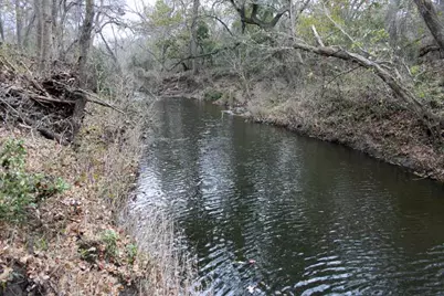 1220 Brushy Branch Road, Lockhart, TX 78644 - Photo 2