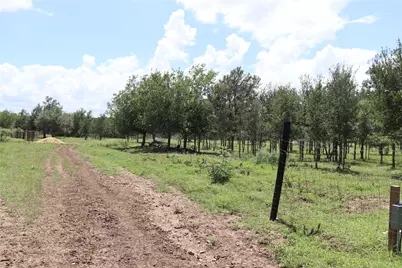 1220 Brushy Branch Road, Lockhart, TX 78644 - Photo 6