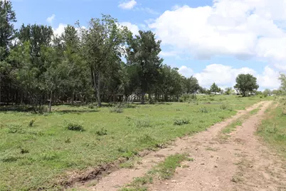 1220 Brushy Branch Road, Lockhart, TX 78644 - Photo 4