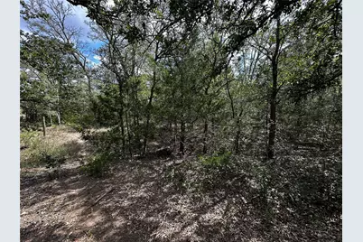 1501 Old Colony Line Road, Dale, TX 78616 - Photo 12