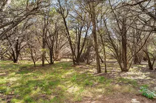 17042 Trail of the Woods, Austin, TX 78734 - Photo 8