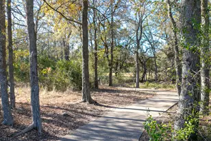 286 Maddy Wy, Bastrop, TX 78602 - Photo 10