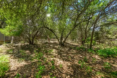 6 Basswood Circle, Wimberley, TX 78676 - Photo 34
