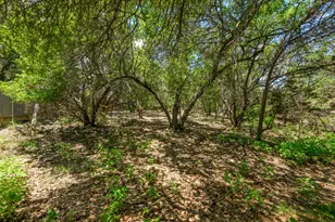 6 Basswood Cir, Wimberley, TX 78676 - Photo 30