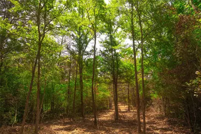 12320 Red Hill Road, Hearne, TX 77859 - Photo 6