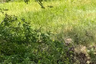 501 Monument St, Lockhart, TX 78644 - Photo 1