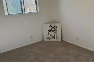 6407 Cannonleague Dr, Austin, TX 78745 - Photo 16