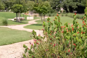 1520 Treasure Map Vw, Leander, TX 78641 - Photo 6