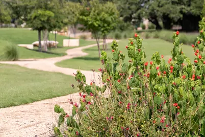 1520 Treasure Map View, Leander, TX 78641 - Photo 18