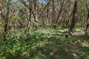 4301 Stearn's Ln, Austin, TX 78735 - Photo 38