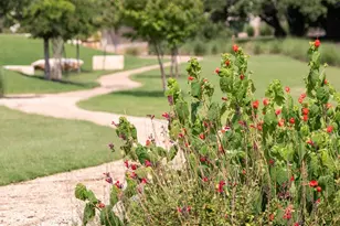 1252 Jolie Rose Bnd, Leander, TX 78641 - Photo 22